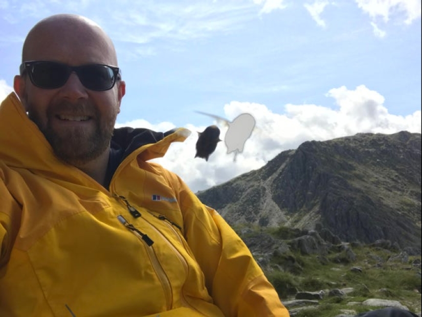 20 fotos divertidas tomadas en el momento perfecto