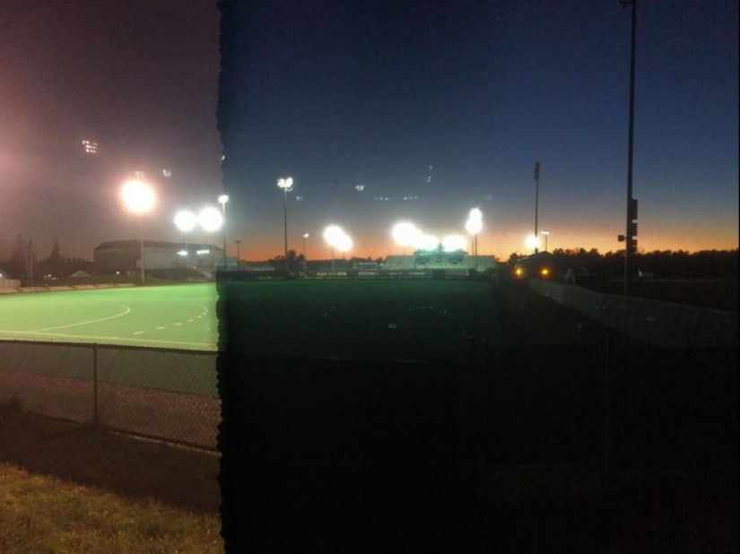 20 fotos divertidas tomadas en el momento perfecto