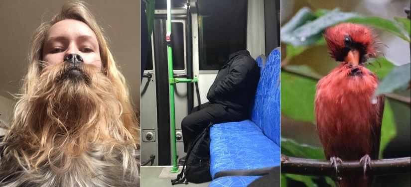 20 fotos extrañas que son fáciles de romper los ojos sobre 20 fotos extrañas que son fáciles de romper los ojos sobre