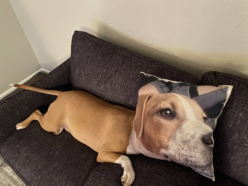 20 fotos extrañas que son fáciles de romper los ojos sobre 20 fotos extrañas que son fáciles de romper los ojos sobre