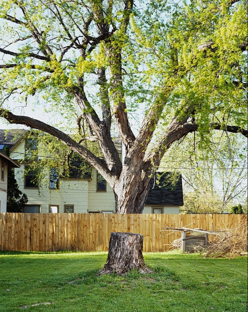 20 fotos extrañas que son fáciles de romper los ojos sobre 20 fotos extrañas que son fáciles de romper los ojos sobre