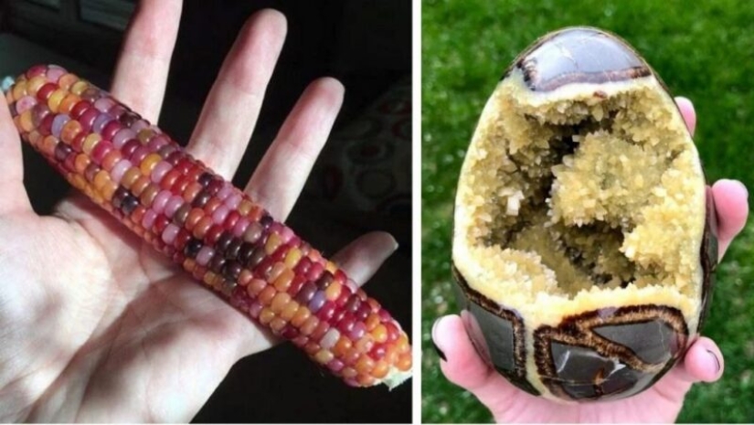 20 fotos impresionantes que necesitas ver al menos una vez en tu vida