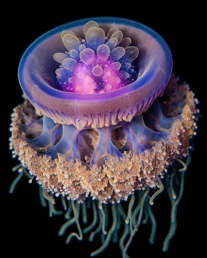 20 fotos impresionantes que necesitas ver al menos una vez en tu vida