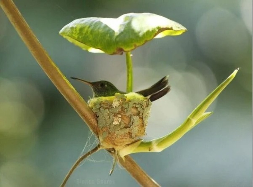 20 fotos impresionantes que necesitas ver al menos una vez en tu vida