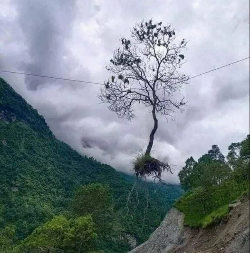 20 fotos impresionantes que necesitas ver al menos una vez en tu vida