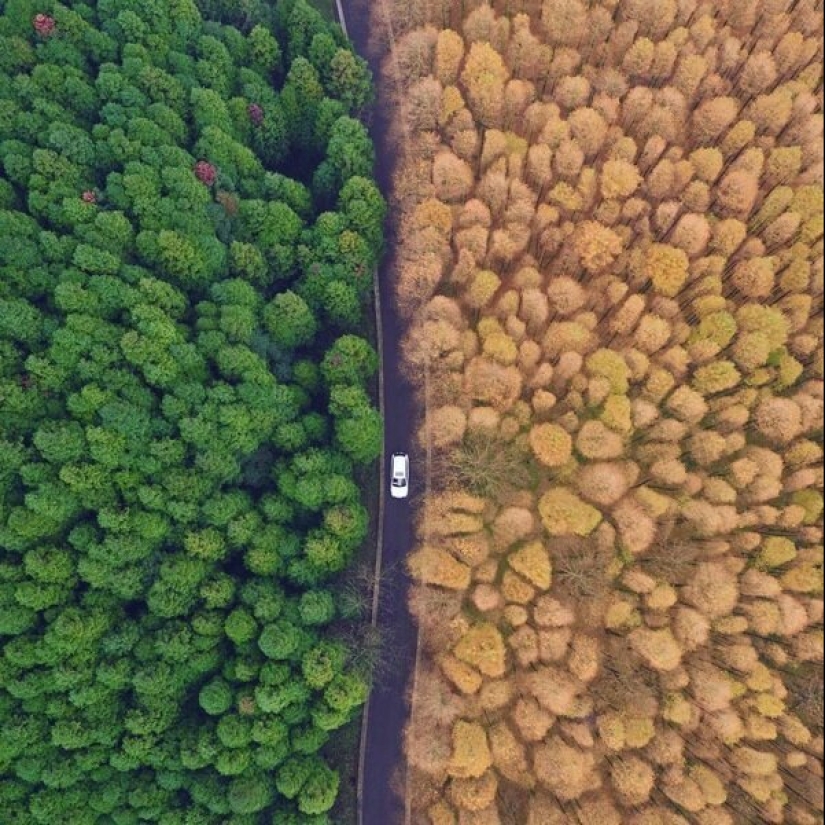 20 fotos increíbles que capturan los contrastes de nuestro planeta 20 fotos increíbles que capturan los contrastes de nuestro planeta