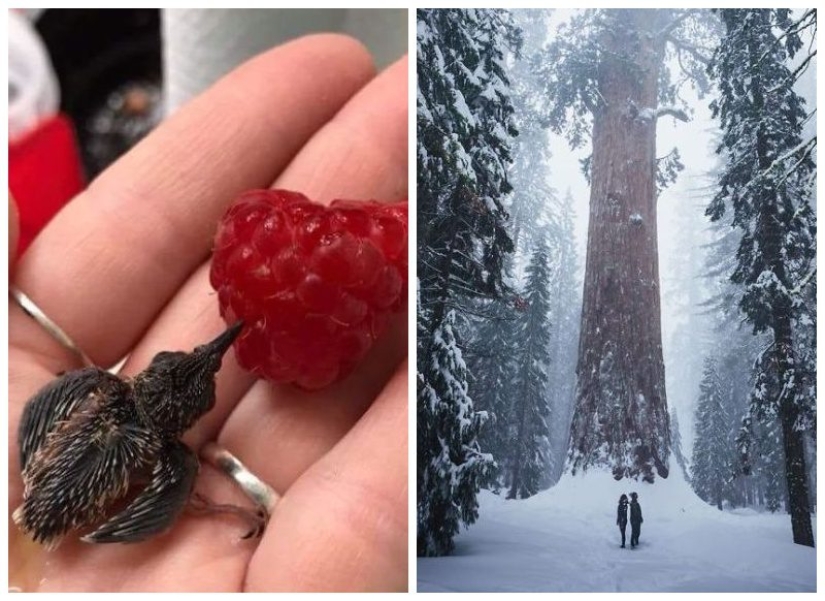 20 fotos que demuestran que el tiempo no es un obstáculo para la verdadera amistad y el amor
