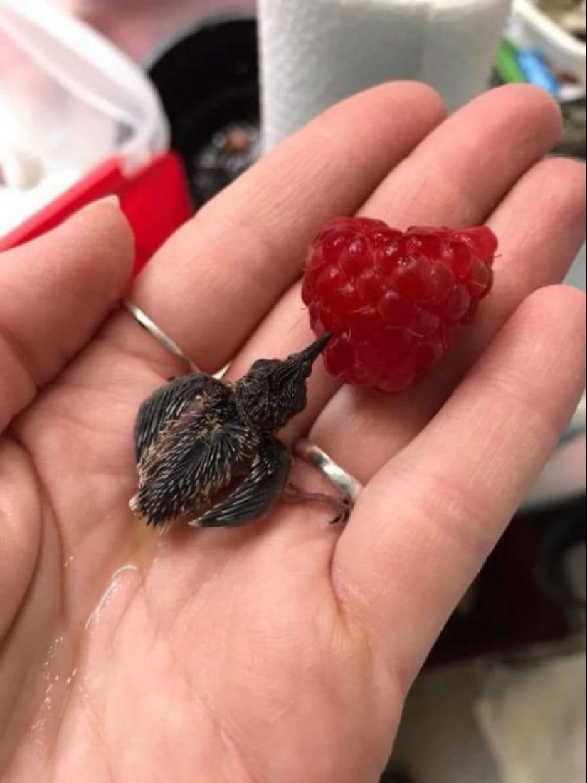 20 fotos que demuestran que el tiempo no es un obstáculo para la verdadera amistad y el amor
