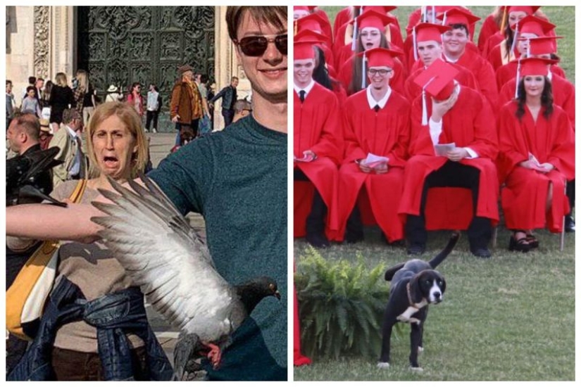 20 fotos que fueron tomadas en el momento justo