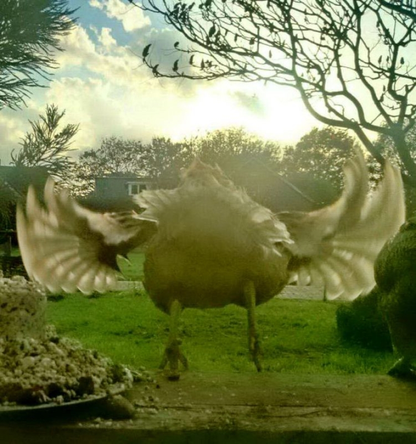 20 fotos que fueron tomadas en el momento justo