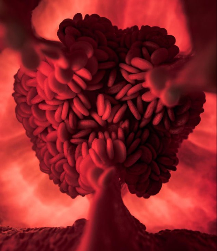 20 fotos que representan algo completamente diferente de lo que parece a primera vista 20 fotos que representan algo completamente diferente de lo que parece a primera vista