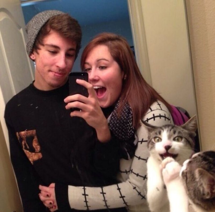 20+ fotos que son interesantes sólo porque a los gatos