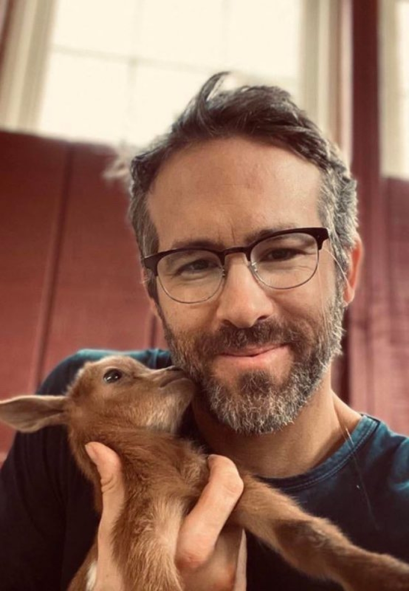 20 fotos súper miméticas que te encantarán 20 fotos súper miméticas que te encantarán