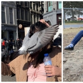 20 fotos tomadas en el momento perfecto