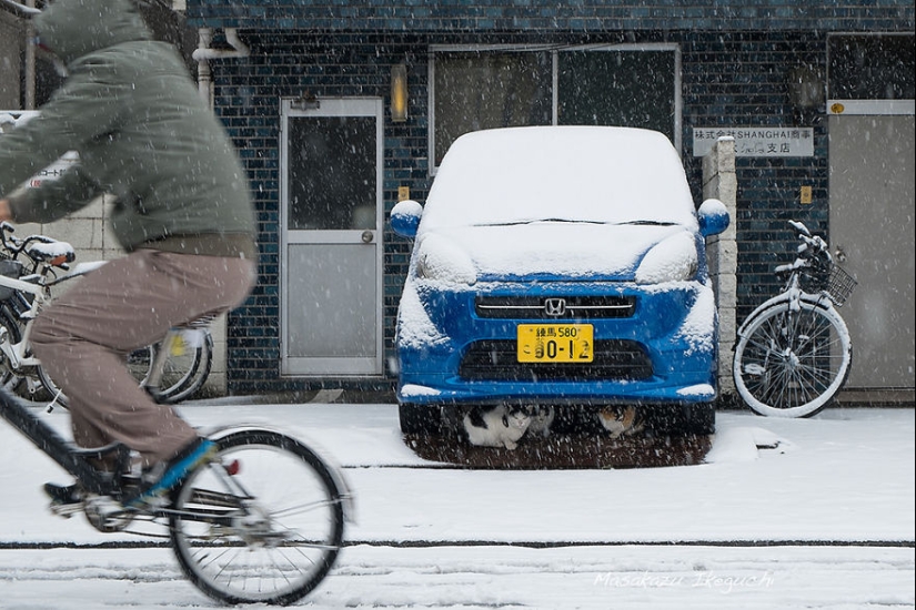 20 frames of street photography that reveal an unknown side of Japan