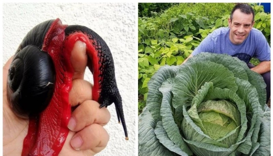 20 frames that look like photoshop but are actually real