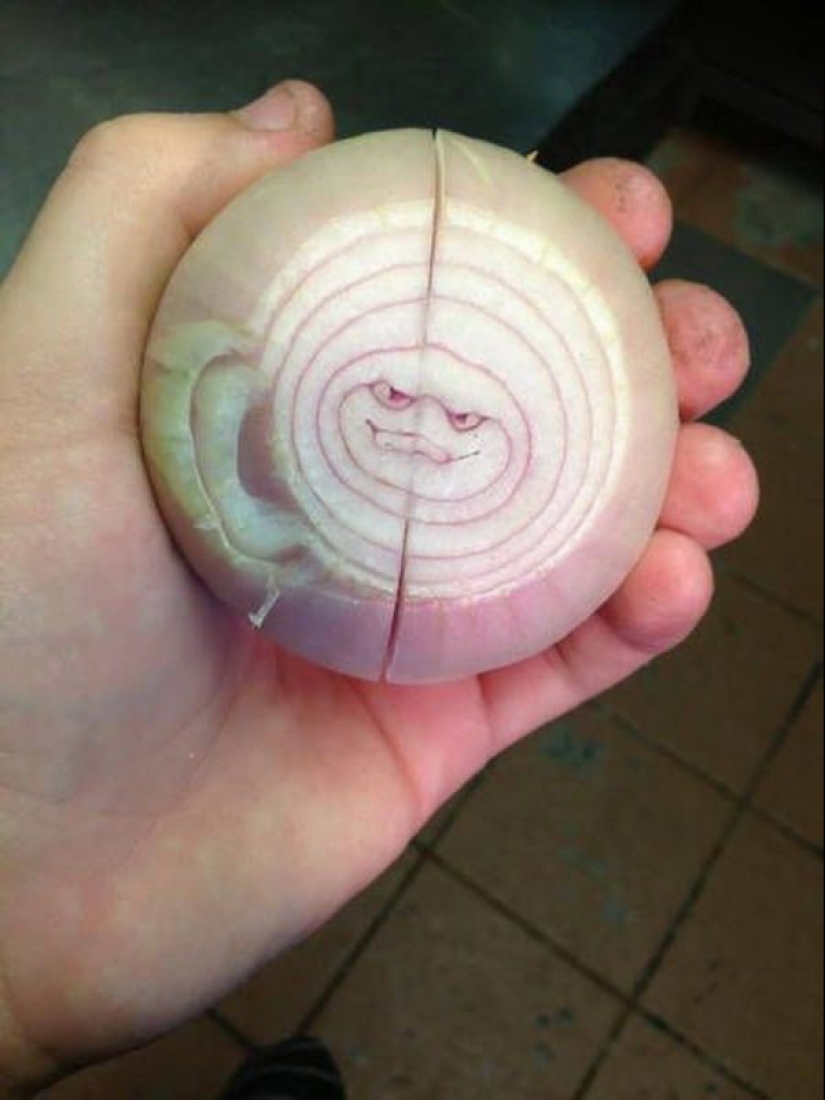 20 fruits and vegetables that forgot they're plants 20 fruits and vegetables that forgot they're plants