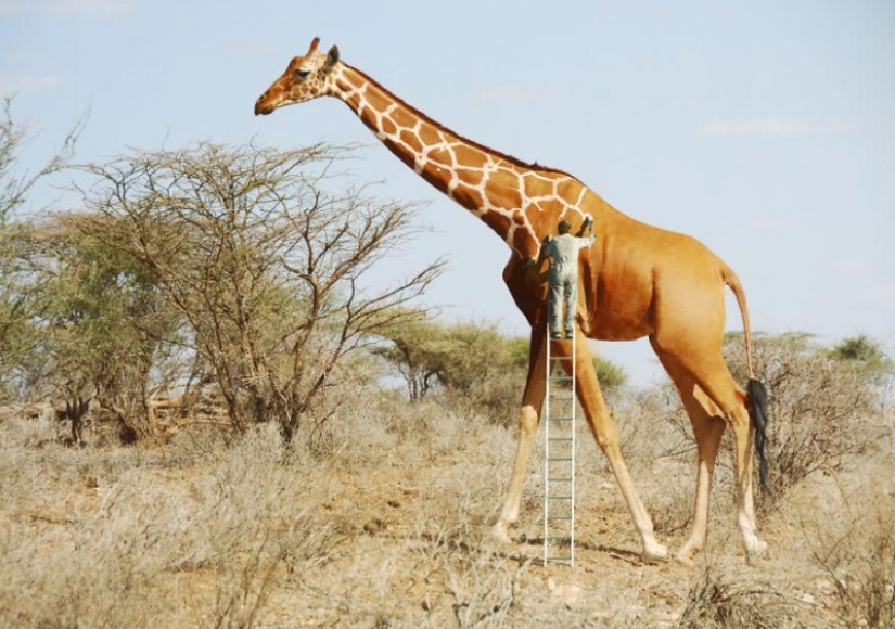 20 Fun Photo Manipulations by Digital Artist Anil Saxena