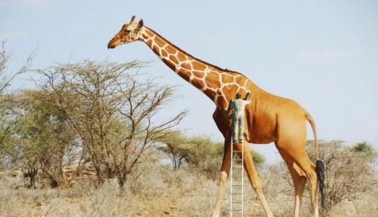 20 Fun Photo Manipulations by Digital Artist Anil Saxena 20 Fun Photo Manipulations by Digital Artist Anil Saxena