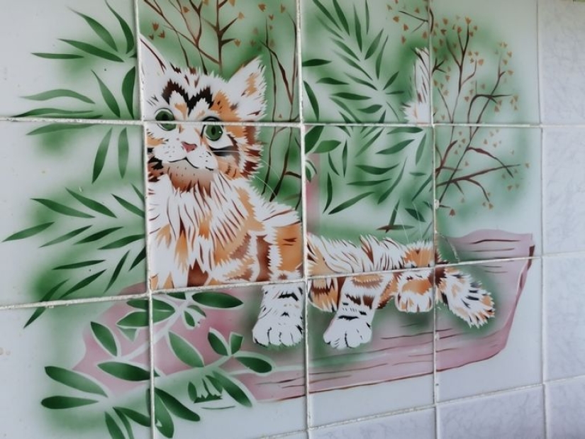 20 funny joints that you won&#39;t even look at without shuddering