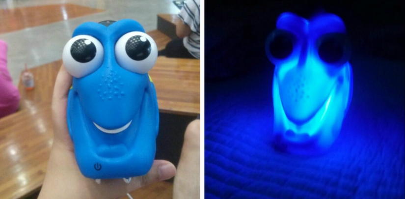 20 funny joints that you won&#39;t even look at without shuddering