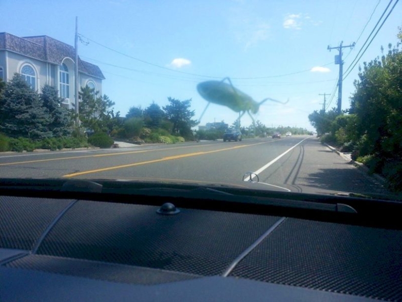 20 funny optical illusions that occur in everyday life