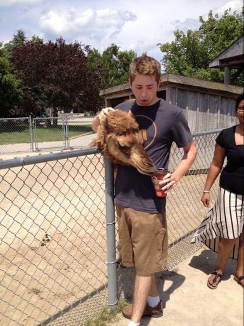 20 funny optical illusions that occur in everyday life