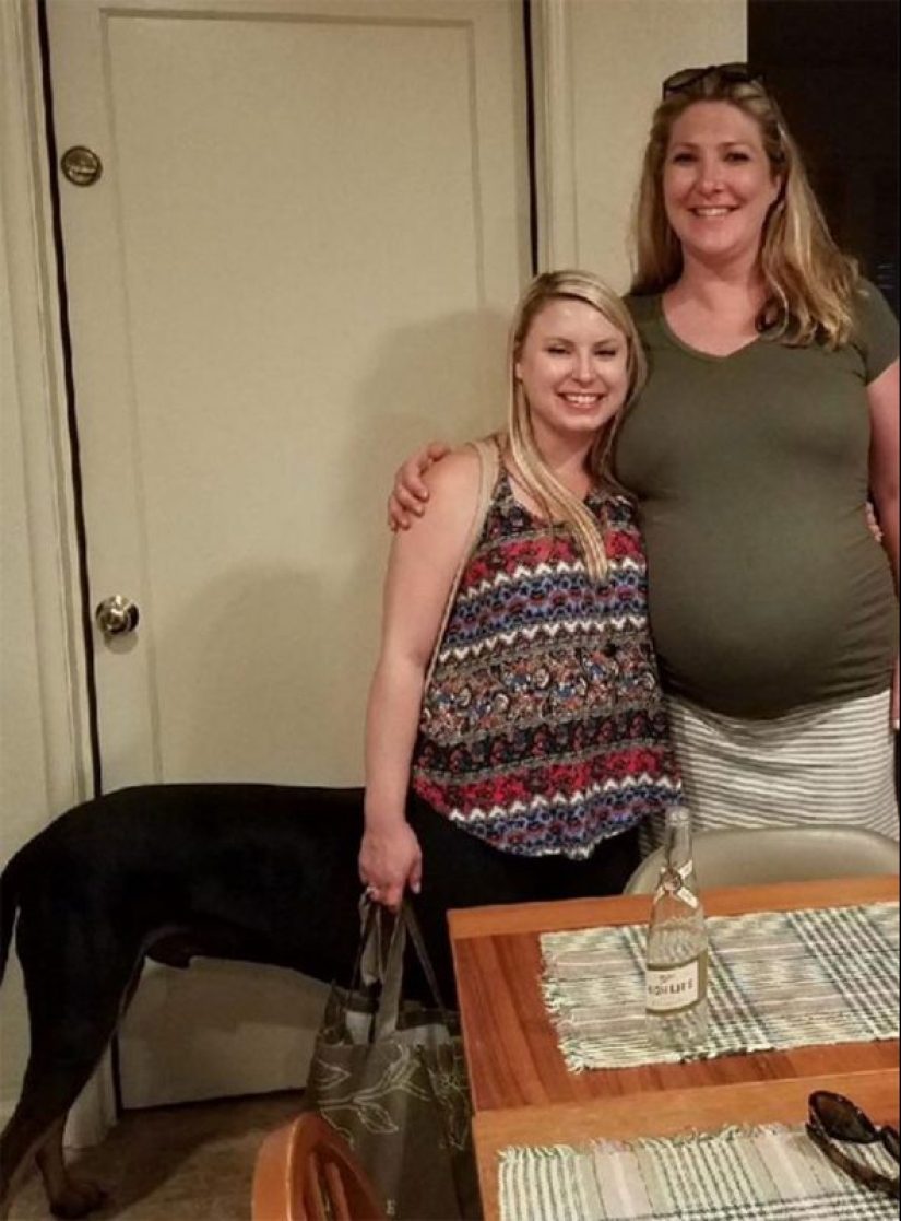 20 funny optical illusions that occur in everyday life