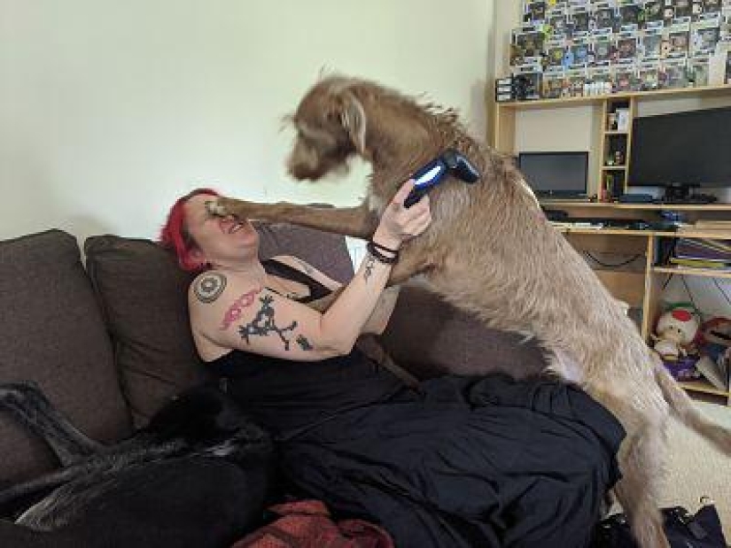 20 funny photos taken at the perfect moment