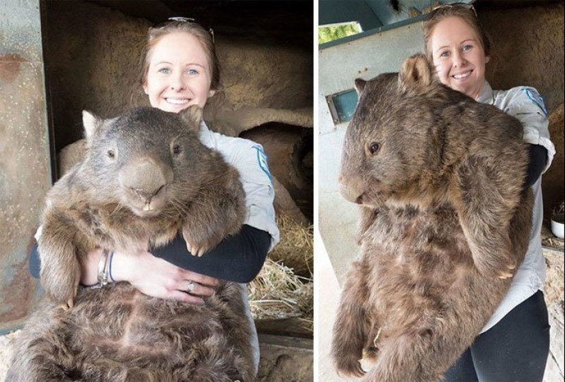 20 gigantescos objetos naturales que te sorprenderán