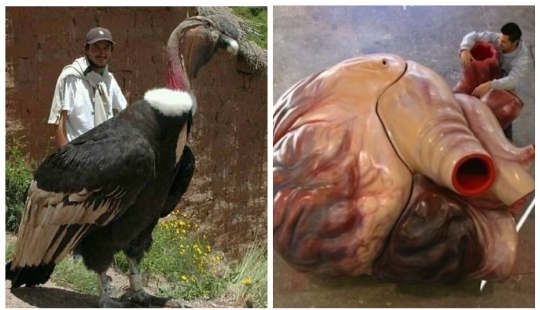 20 gigantescos objetos naturales que te sorprenderán