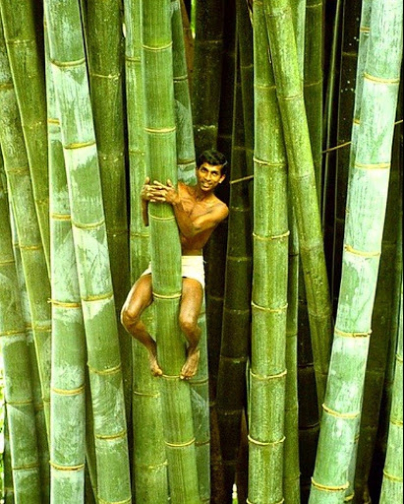 20 Gigantic Natural Objects That Will Shock You