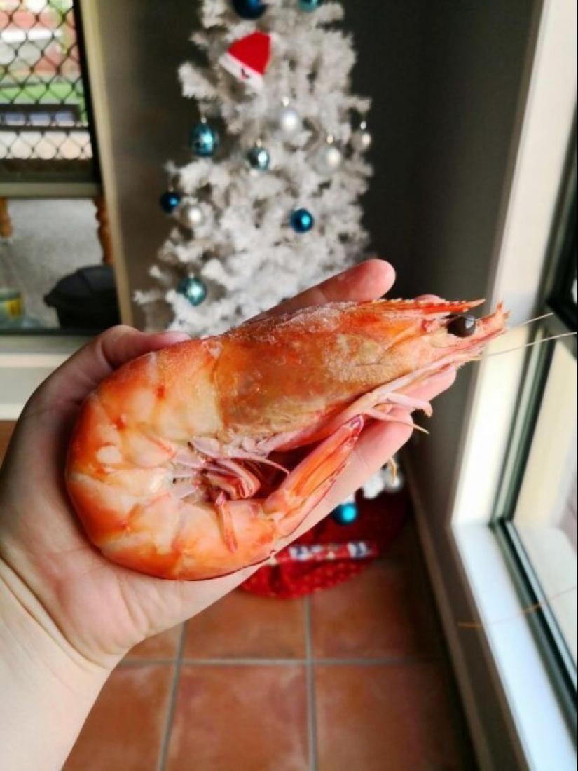 20 grandes cosas, para estimar el tamaño de lo que puede ser comparado con sólo