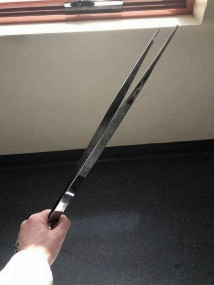 20 great things, to estimate the size of which can be compared only