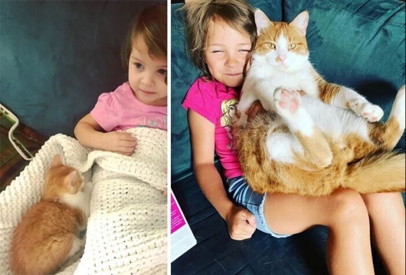 20+ heart touching pictures about how to quickly grow our favorite koteyki