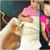 20+ heart touching pictures about how to quickly grow our favorite koteyki 20+ heart touching pictures about how to quickly grow our favorite koteyki