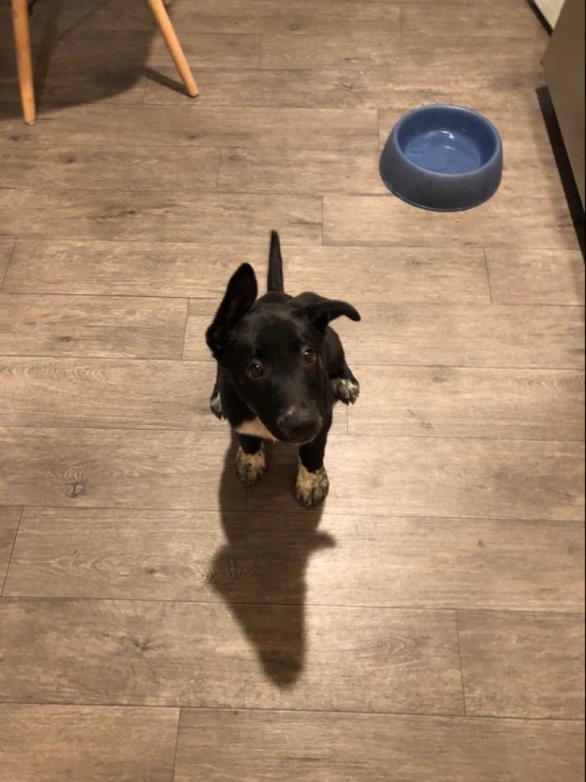 20 hermosas imágenes que harán que tu día mejor