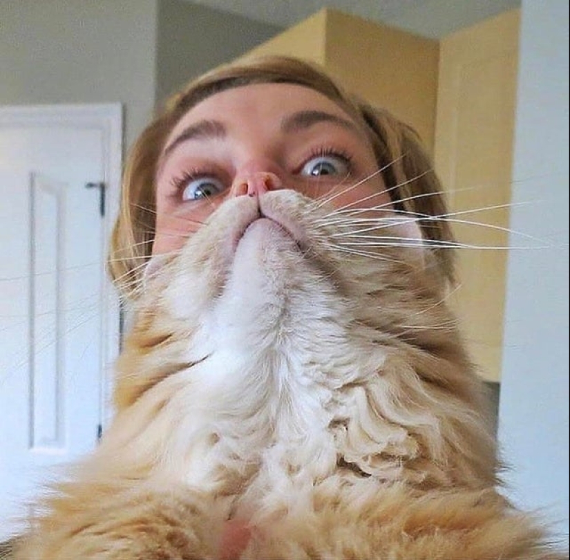 20 hermosas imágenes que harán que tu día mejor