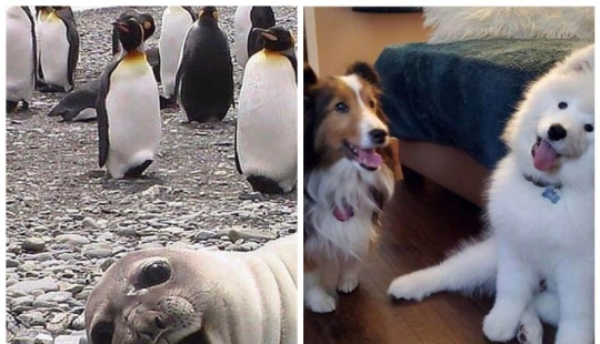 20 hermosas imágenes que harán que tu día mejor 20 hermosas imágenes que harán que tu día mejor