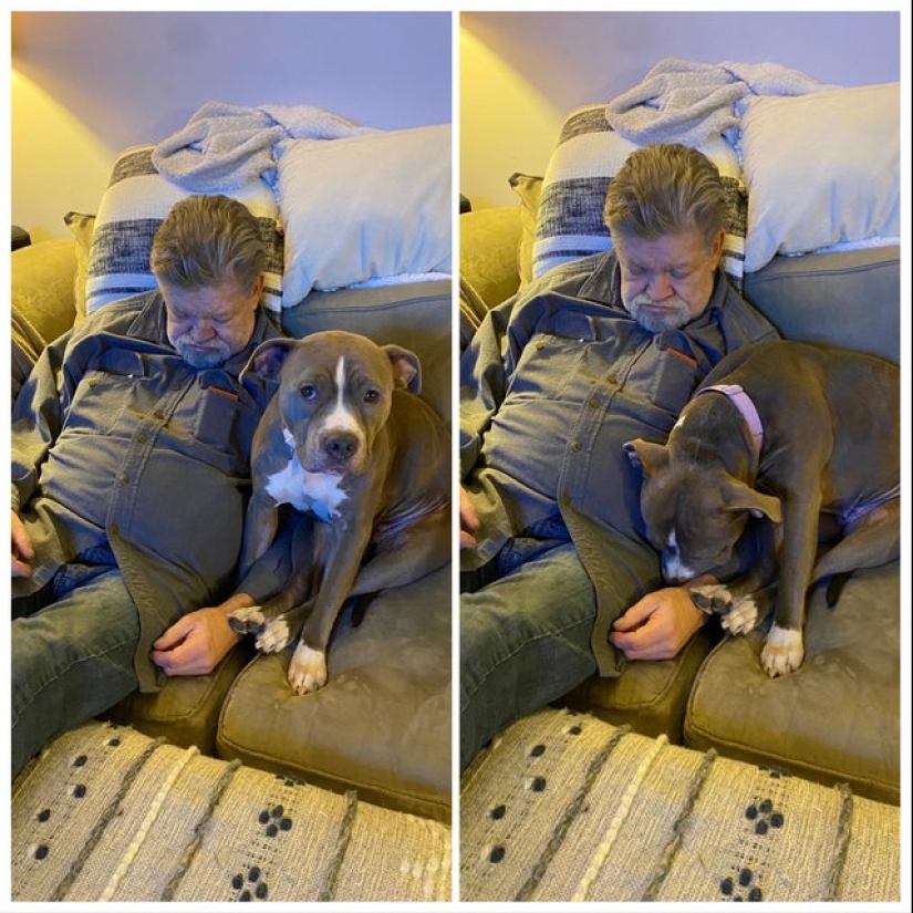 20 hermosas imágenes que harán que tu día mejor