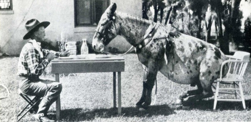 20 historical frames caught at the right moment