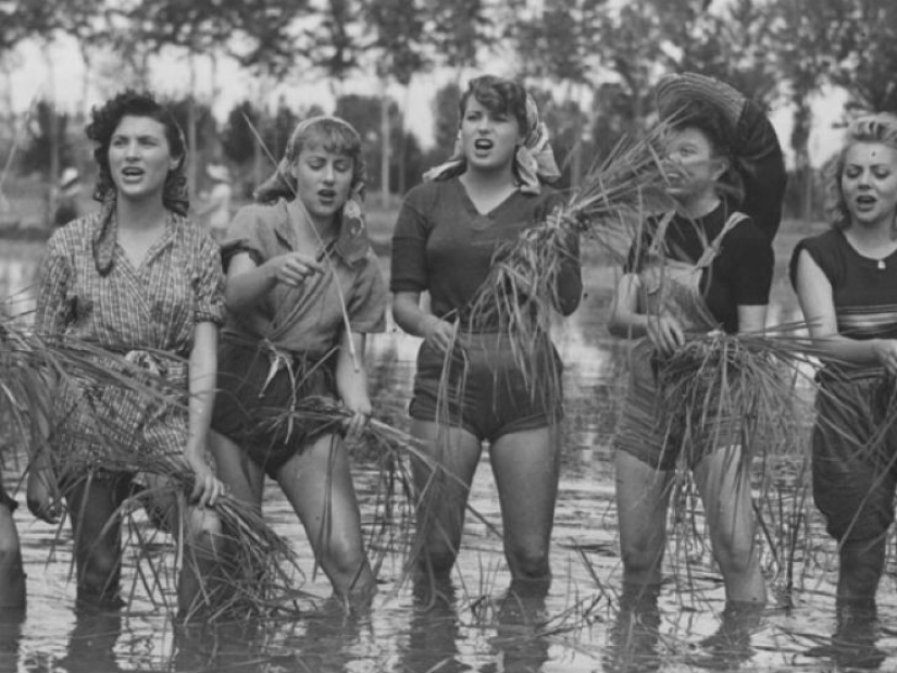 20 historical photos that you definitely haven't seen! 20 historical photos that you definitely haven't seen!