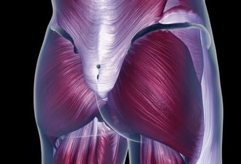 20 human body parts that are an example of bad design