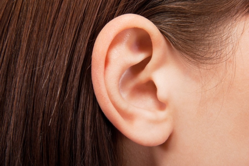 20 human body parts that are an example of bad design