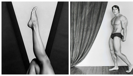 20 iconic photographs by Robert Mapplethorpe 20 iconic photographs by Robert Mapplethorpe