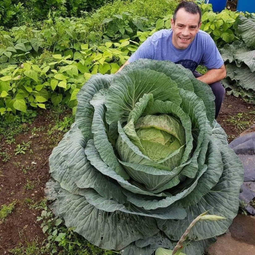 20 imágenes que se ven como photoshop, pero en realidad son reales 20 imágenes que se ven como photoshop, pero en realidad son reales