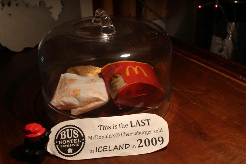 20 incredible things that are found in Iceland 20 incredible things that are found in Iceland