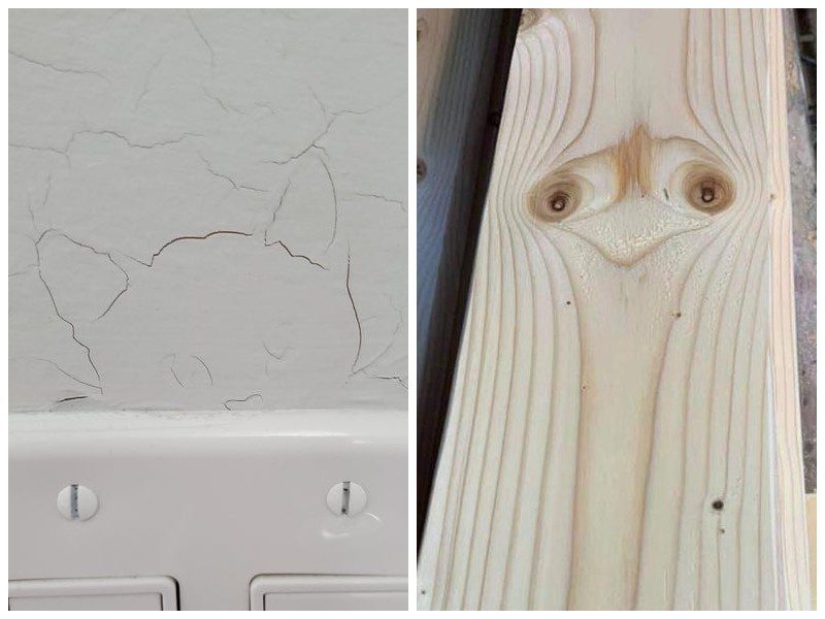 20 items that pretend to be other items 20 items that pretend to be other items