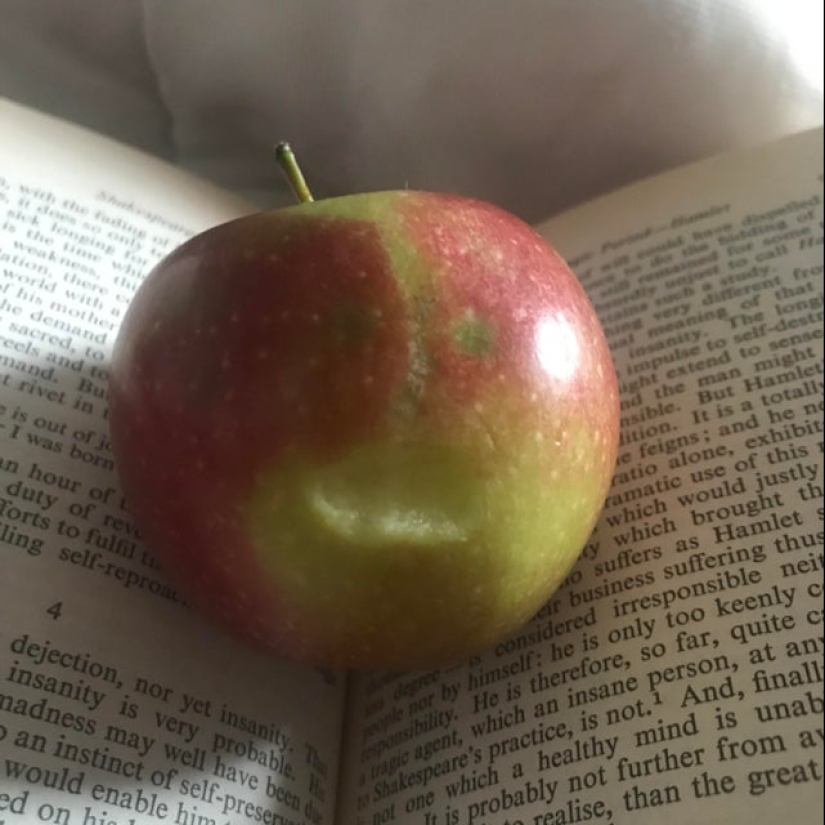 20 items that pretend to be other items 20 items that pretend to be other items