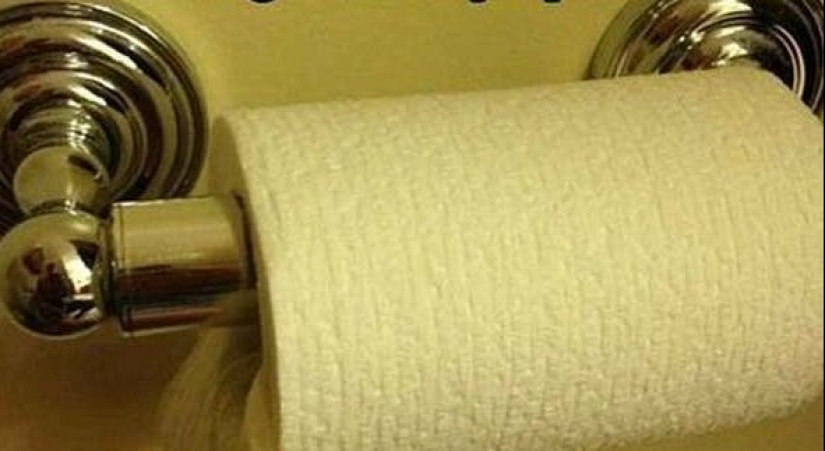 20 la vida hacks para los felices dueños de gatos